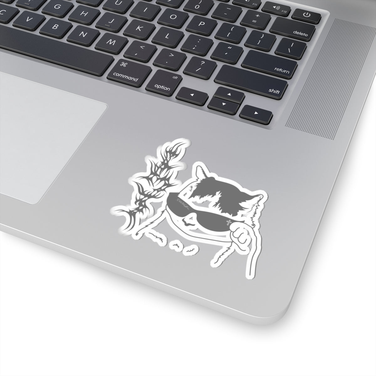 DVN ANGEL Unphased Sticker